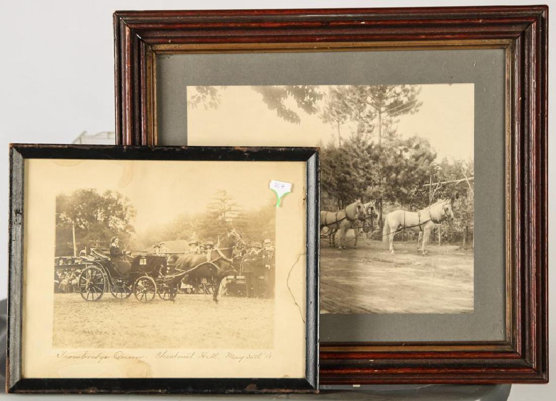 (2) EQUESTRIAN PHOTOGRAPHS EARLY (20th c) (1 of 5)