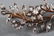 CLOSE SET DIAMOND FLORAL SPRAY BROACH - 7