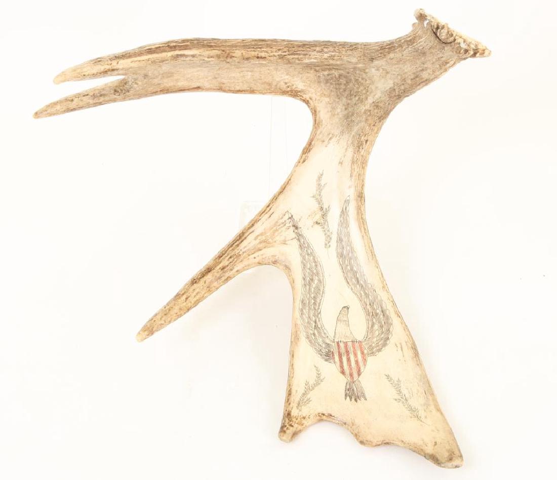 MOOSE TROPHY with SCRIMSHAW AMERICAN EAGLE: Hand carved and died American Eagle in flight with sprays of laurel branches. 14 x 18 x 6 1/2 inches.