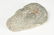 CARVED GRANITE FACE SCULPTURE - 4