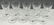 (9) BACCARAT CRYSTAL WINE GLASSES - 3