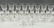 (27) PIECES OF STEUBEN STEMWARE