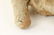 (2) EARLY STEIFF TEDDY BEARS - 9