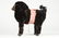 VICTORIAN PULL TOY - 7