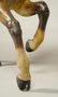 (LATE 19Th c) CAROUSEL HORSE IN GREAT OLD PAINT - 3