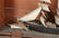 CARVED & PAINTED WOODEN TALL SHIP in CASE - 5