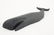 (20th c) FOLK CARVING OF A SPERM WHALE - 2