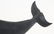 (20th c) FOLK CARVING OF A SPERM WHALE - 4