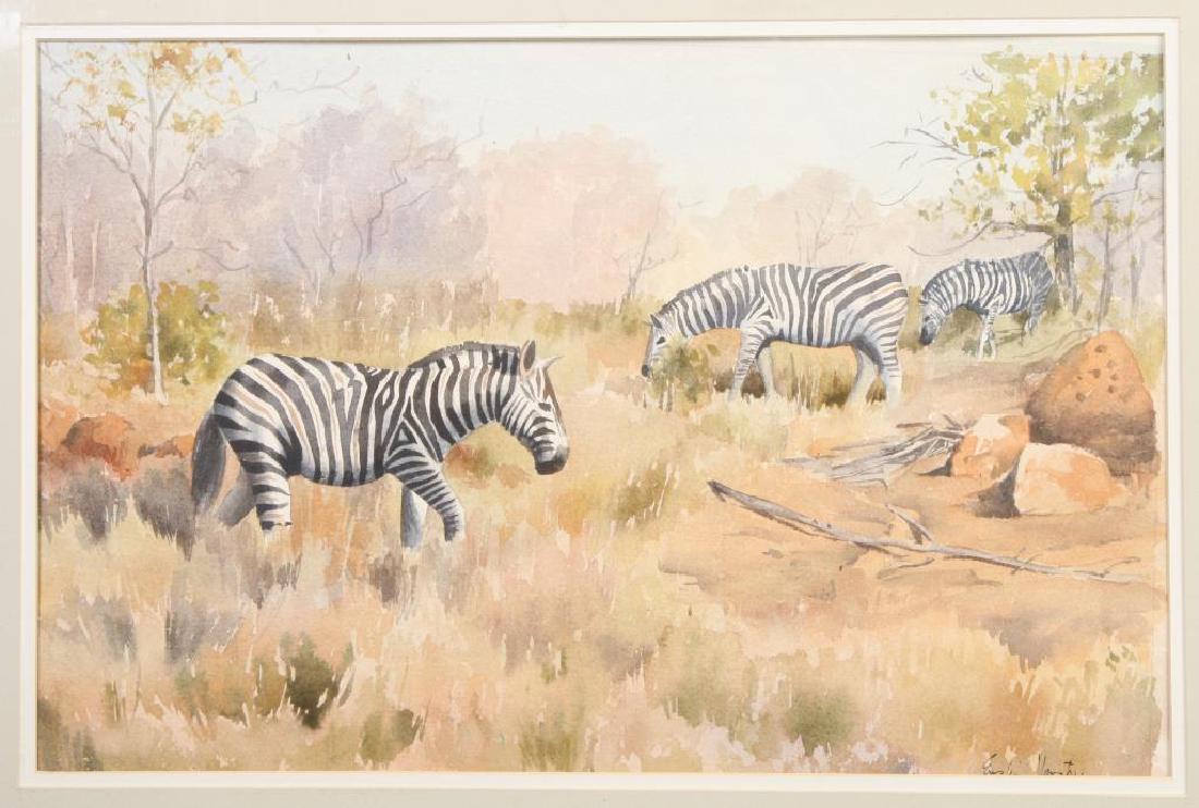 ENSLIN VORSTER (b. 1932) "Wild Zebras" watercolor 12: "Wild Zebras" watercolor 12 1/2 x 19 1/2 inches. signed. matted. 19 x 26 inches (overall)