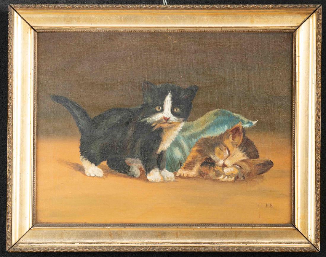 (2) KITTENS (1 of 3)