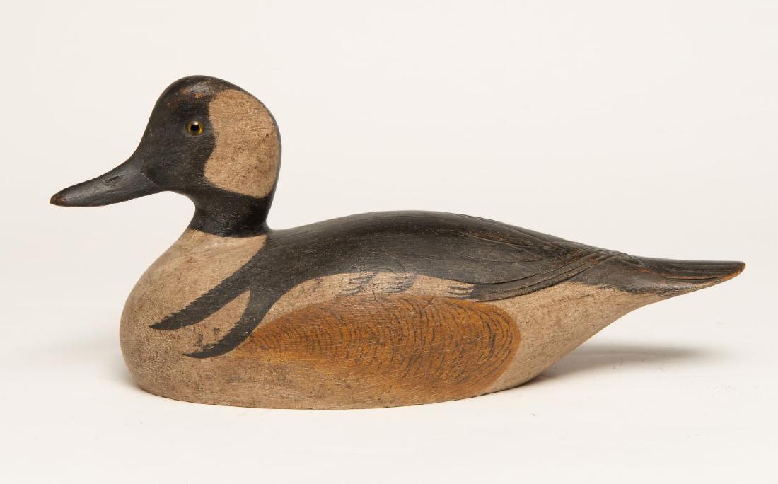 BUFFLEHEAD DRAKE DECOY (1 of 5)