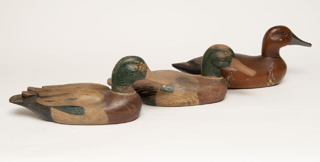 THREE DECOYS - TWO MALLARD DRAKES (1 of 5)