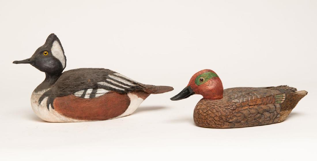 GREEN WINGED TEAL DRAKE & HOODED MERGANSER (1 of 7)