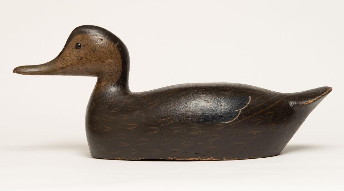 BLACK DUCK DECOY BY GEORGE BOYD (1873-1941) (1 of 6)
