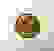 item-68019790=3