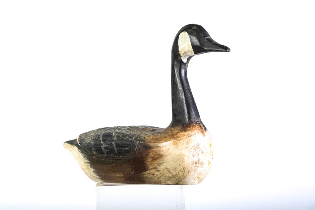 HANK WALKER DECOY OF A CANADA GOOSE: Carved and painted swimmer. signed on plaque under base. 16 x 22 x 8 inches.