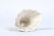 CHINESE PORCELAIN 'BLANC DE CHINE" LIBATION CUP - 5