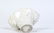 CHINESE PORCELAIN 'BLANC DE CHINE" LIBATION CUP - 6