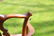 IMPORTANT SET OF (12) CHIPPENDALE DINING CHAIRS - 3