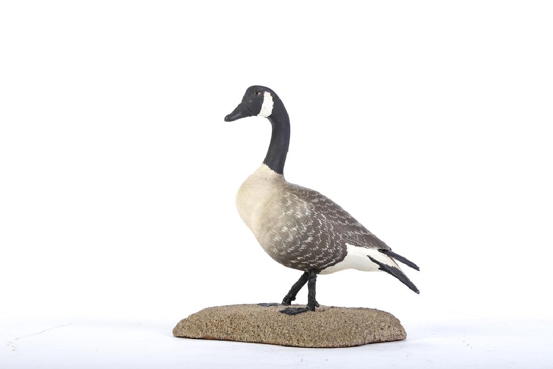 MARK HOLLAND CARVED CANADA GOOSE: Carved and painted wood with sand covered base. signed and dated 1966. 8 x 8 x 5 inches.
