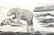 CHINESE AMERICAN "WING H. LEONG NOV FIRST 1924" - 3