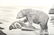 CHINESE AMERICAN "WING H. LEONG NOV FIRST 1924" - 5