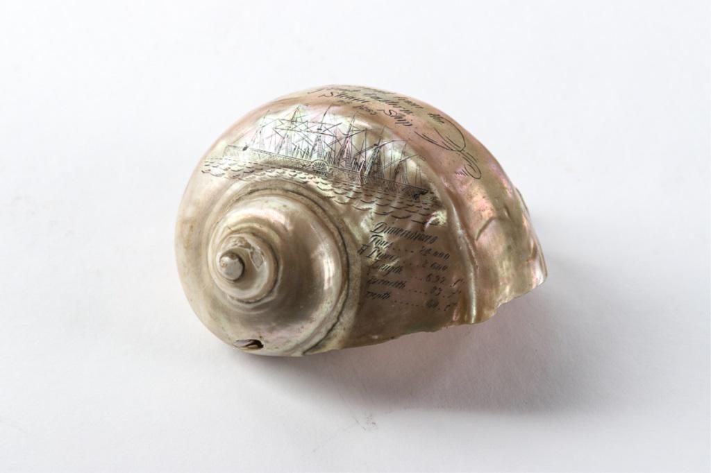 "FROM THE GREAT EASTERN STEAM SHIP 1863" SHELL: SHELL engraved with "A PRESENT FROM THE GREAT EASTERN - STEAM SHIP 1863 with an image of the ship. Signed by the artist "C. Wood". The Great Eastern laid the telegraph cable from US to Europe.