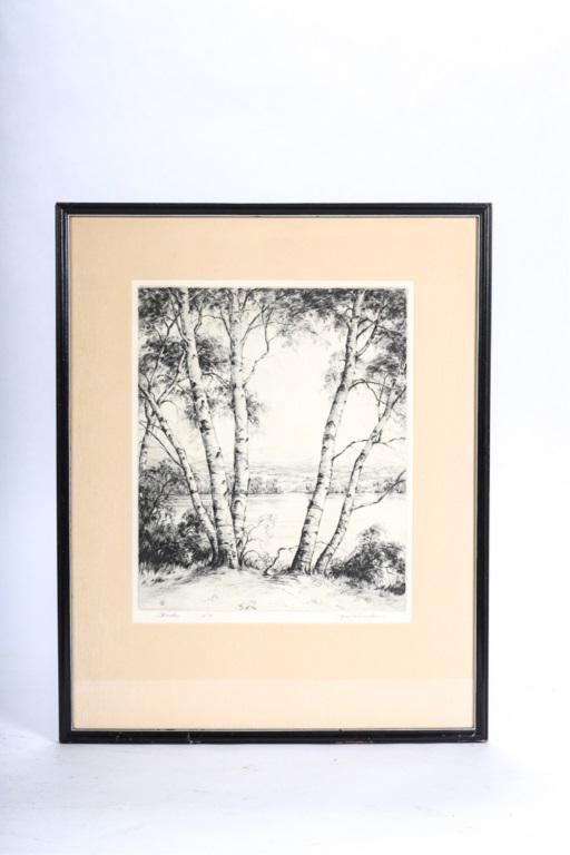 RONAU WILLIAM WOICESKE (1887-1953): "Birches" etching edition of 75. 12 x 10 inches. signed. framed 20 x 15 1/2 inches (overall)