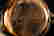 item-79631355=5