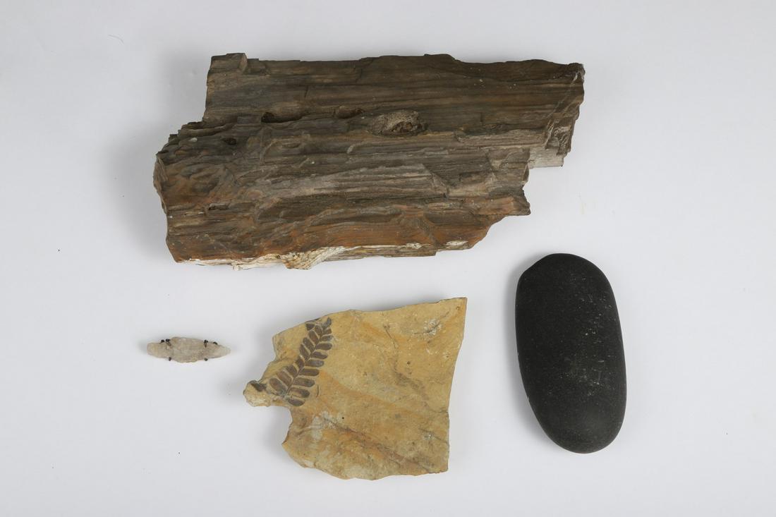 NATIVE AMERICAN CELT, FOSSIL & PETRIFIED WOOD: and a projectile point pin. 11 inches (and under)