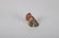 (7) GERMAN PAPER MACHE HENS AND CHICKS - 2