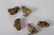 (7) GERMAN PAPER MACHE HENS AND CHICKS - 4