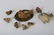 (7) GERMAN PAPER MACHE HENS AND CHICKS - 5