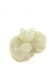 EARLY WHITE JADE of (2) CATS and BUTTERFLY GROUP - 2