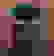 item-103635470=2