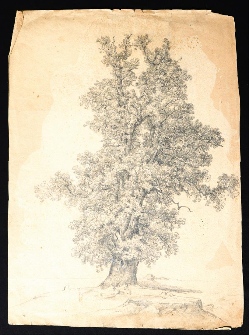 (Late 19th c) AMERICAN SCHOOL "The Great Oak" (1 of 7)
