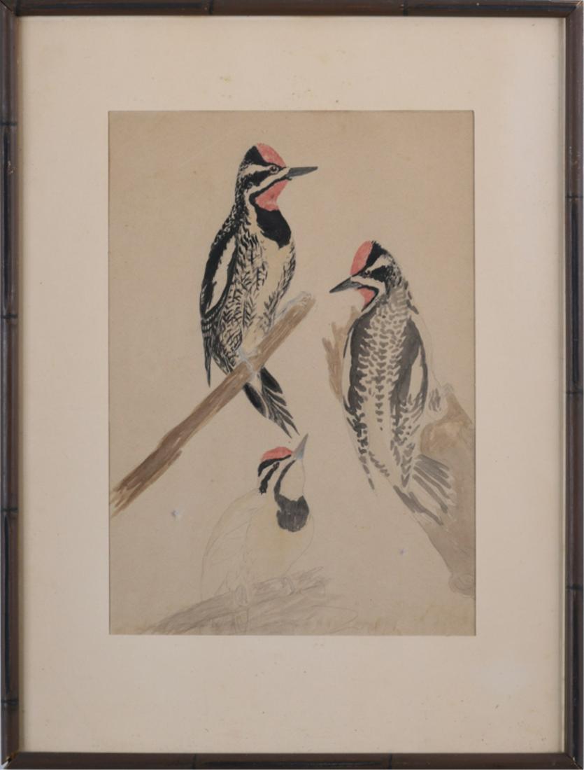 LOUIS A. FUERTES (1874-1927) (1 of 11)