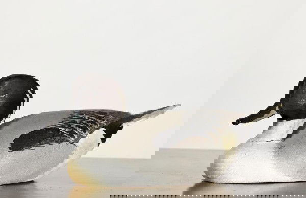 Ward Bros carved and painted duck decoy: Ward Bros carved and painted duck decoy