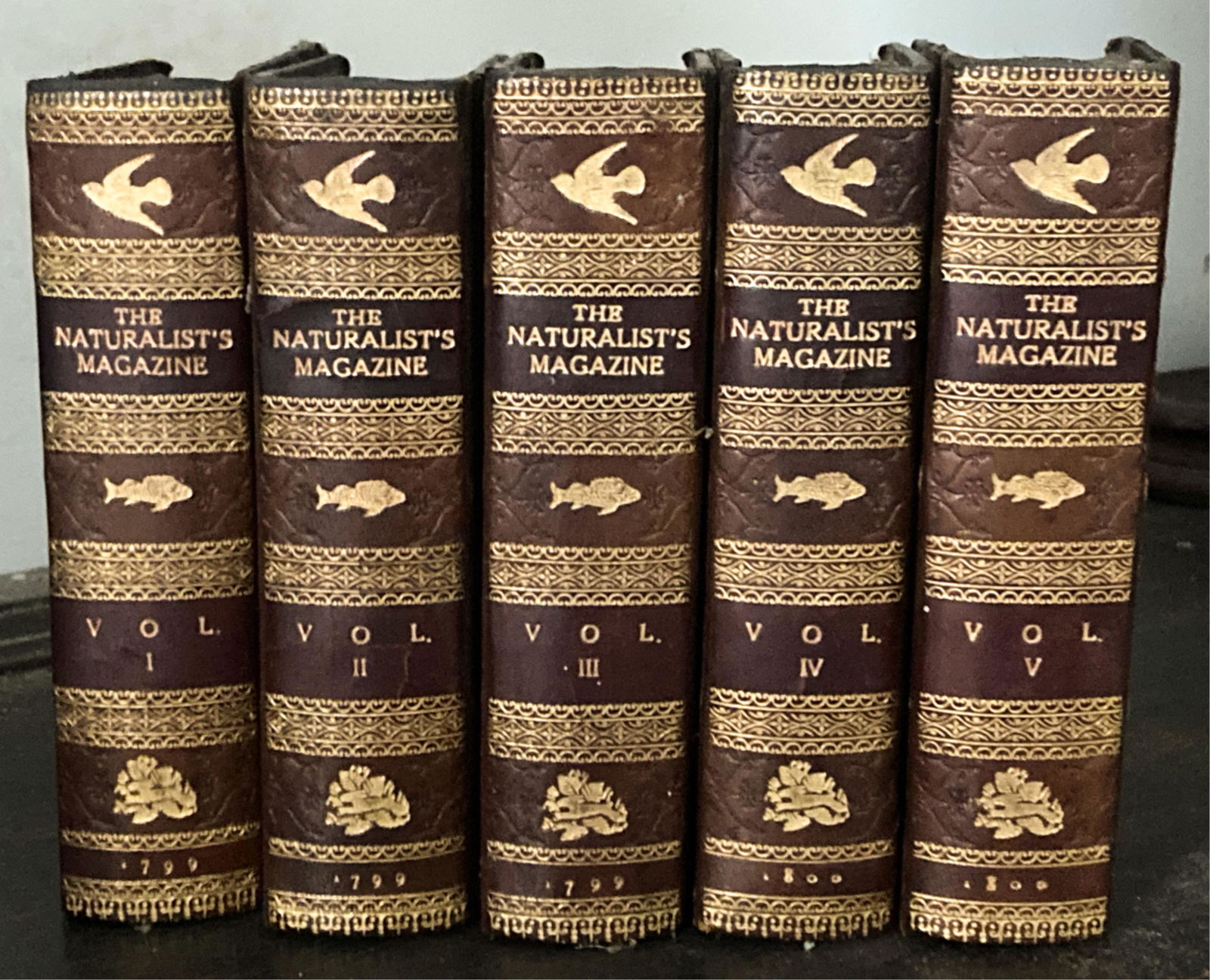 1799-1800 NATURALIST'S POCKET MAGAZINE ILLUSTRATED (1 of 4)