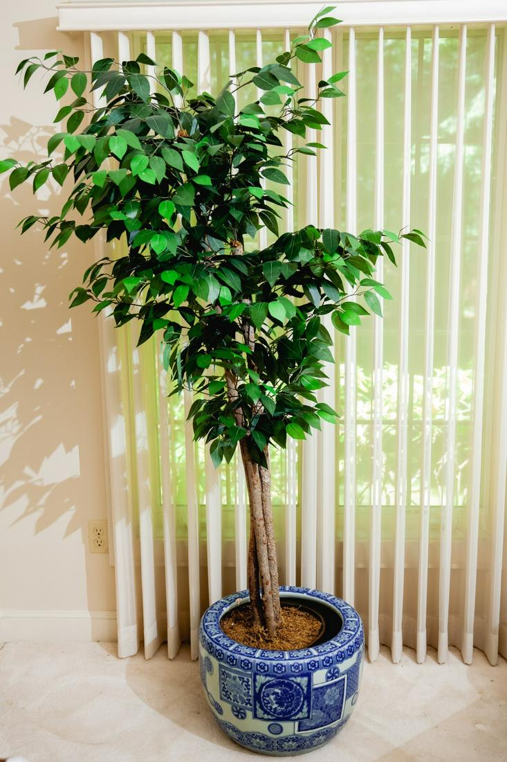 (20th / 21st c) CHINESE PORCELAIN JARDINIERE (1 of 7)