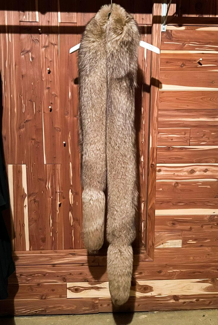 FOX STOLE D, LUDWIG BOSTON (1 of 3)