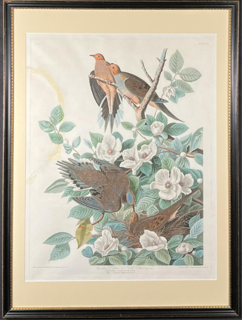 JOHN J. AUDUBON (1785-1851) "TURTLE DOVES" (1 of 15)
