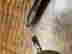 item-134249278=16