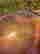 item-134249441=17