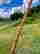 item-134249451=4