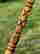 item-134249451=5