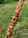 item-134249451=6