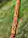 item-134249451=7