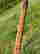 item-134249451=8