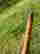 item-134249451=9